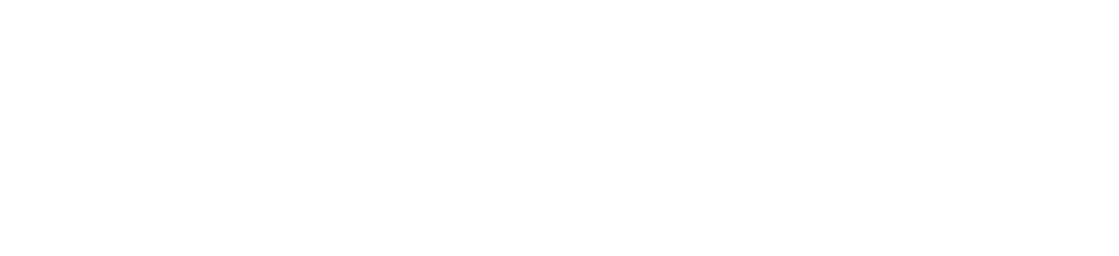 softtech logo mariupol