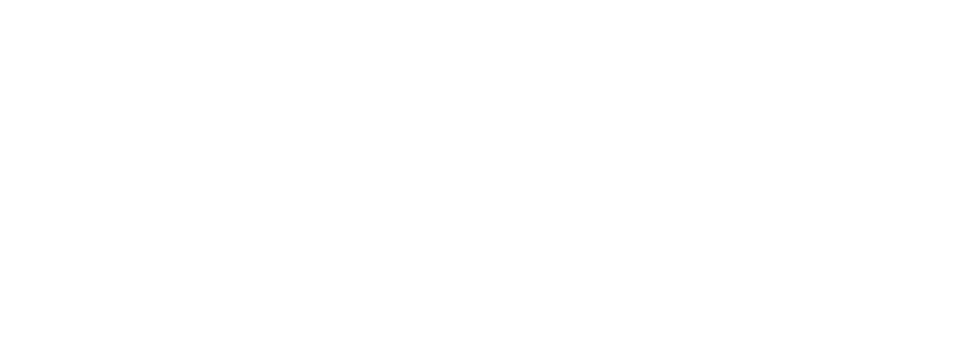 softtech partner